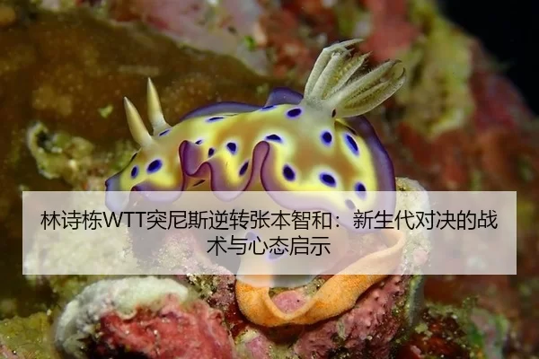 林诗栋WTT突尼斯逆转张本智和：新生代对决的战术与心态启示